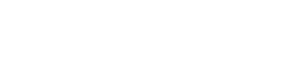 American Principals Project